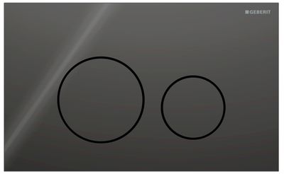 Geberit Sigma40 Flush Plate / Black