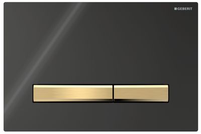 Geberit Sigma50 Flush Plate / Black - Brass