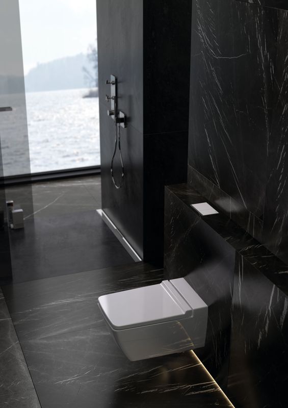 Omega design flushing mechanisms and control plates