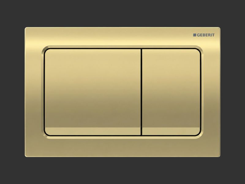 New Alpha trigger plates