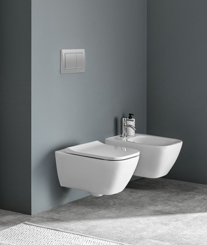 Wall-hung toilet frame, flush plate and bowl