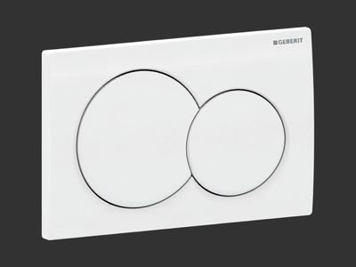 Alpha01 Round Flush Plate / White