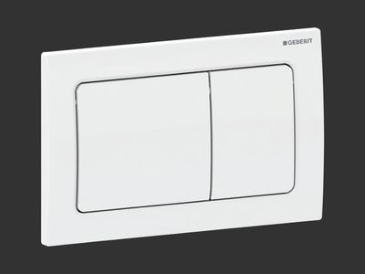 Alpha01 Flush Plate / White