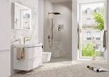 Bras de douche E 39 cm