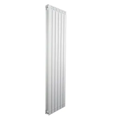 Elément de radiateur décoratif en aluminium moulé Fondital GARDA Dual (entraxe 180 cm / épaisseur 8 cm)