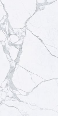 Grès cérame Statuario mat 60 x 120 cm - Tagina