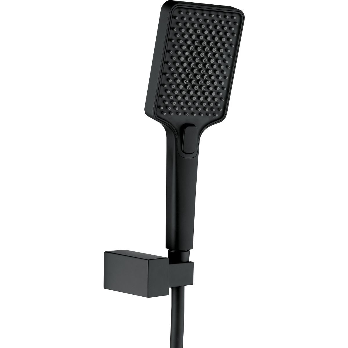 Pommeau de douche Deante Anemon avec douchette et flexible de 1,50 m en finition noir mat.