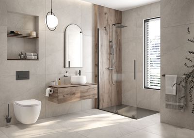 Liquid Soap Dispenser Deante Arnika in Titanium