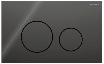 Geberit Sigma40 Flush Plate / Black