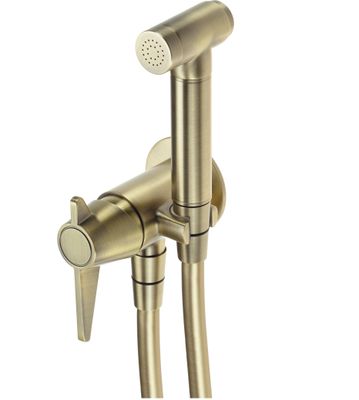 Robinet mitigeur de bidet mural Deante Temisto en laiton brossé PVD avec tuyau flexible de 120 cm.