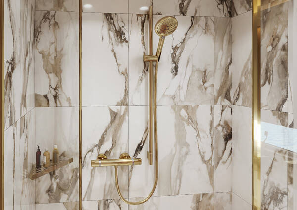 Douchette à main Hansgrohe Raindance Select S 120 3 jets en doré poli - vue 2