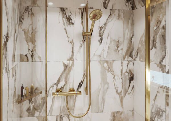 Hansgrohe Raindance Select S 120 Hand Shower 3 Jets in Polished Gold