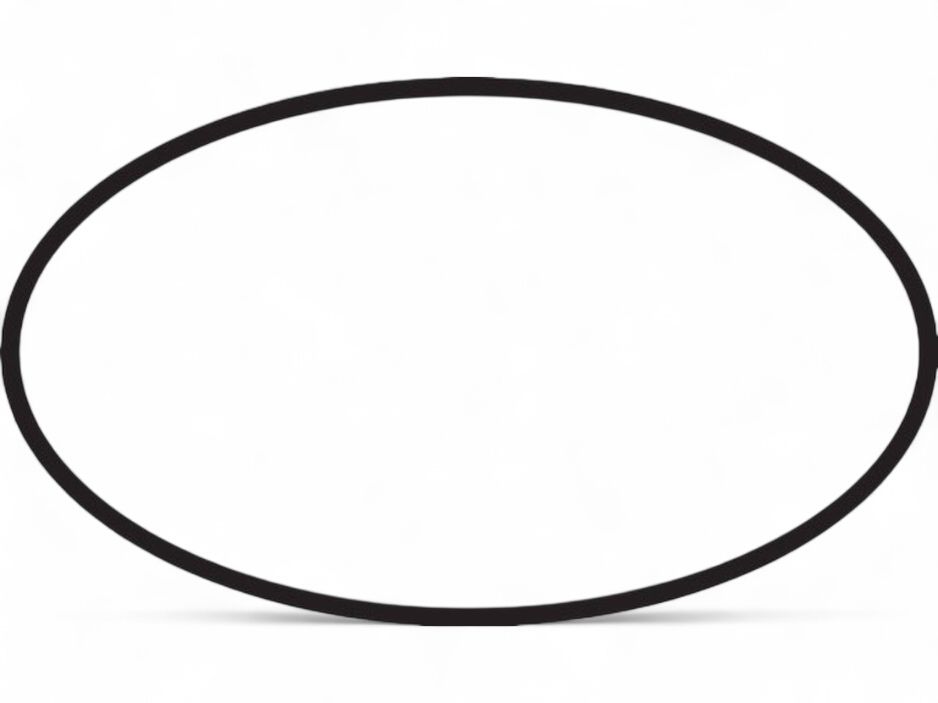 Joint torique 48x3 pour sets de finition Axor / Hansgrohe