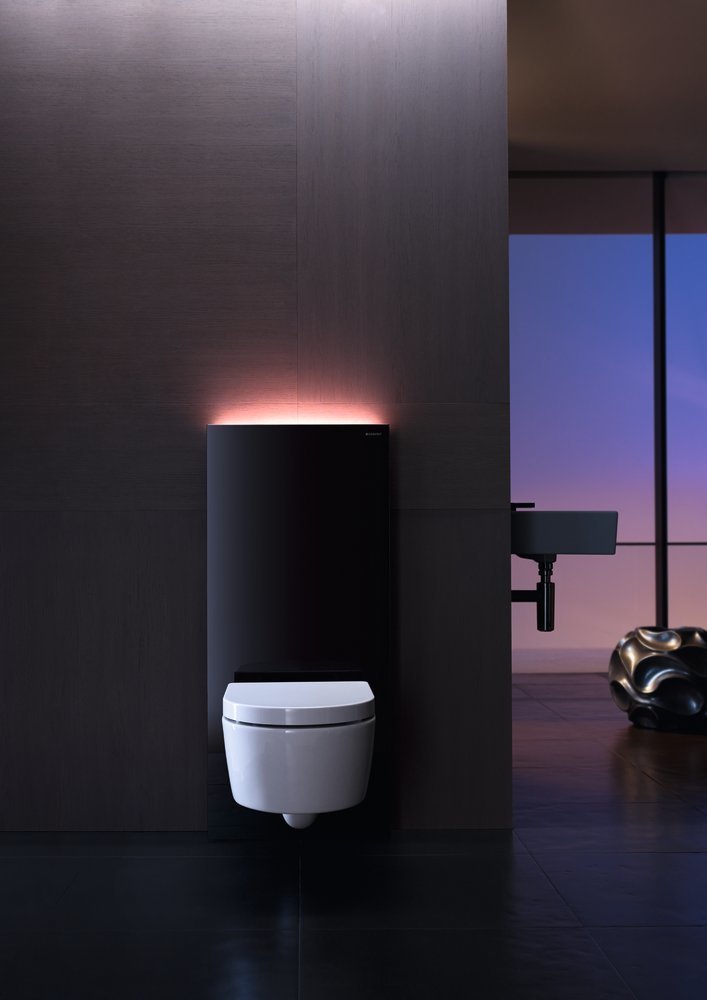 Panneau sanitaire Geberit Monolith PLUS pour WC suspendu / Verre noir — vue 3