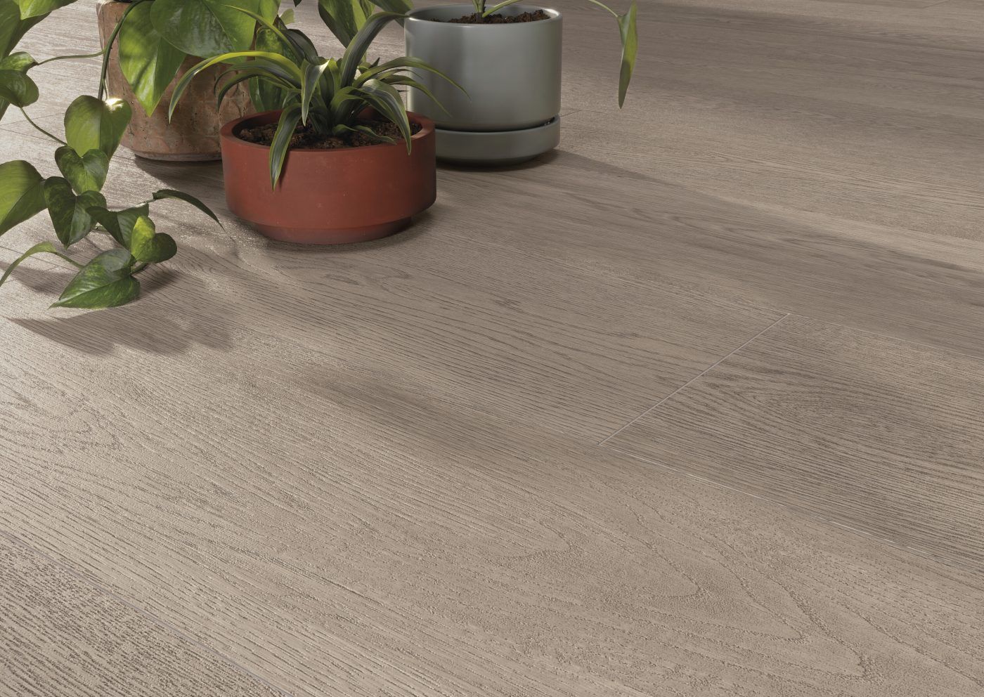 Grès cérame Cifre Ceramica Heartwood Oak mat 20 x 120 cm, rectifié