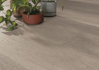 Grès cérame Cifre Ceramica Heartwood Oak mat 20 x 120 cm, rectifié