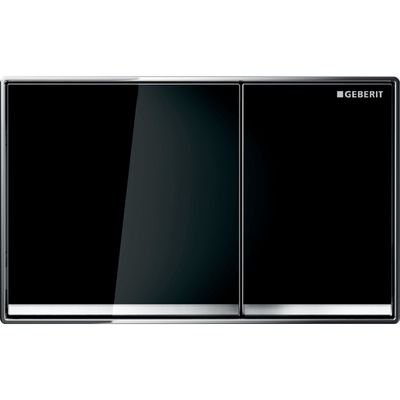 Geberit Omega60 Square Flush Plate for Dual Flush, Wall-Flush / Black Geberit Omega60 Square Flush Plate for Dual Flush, Wall-Flush / Black