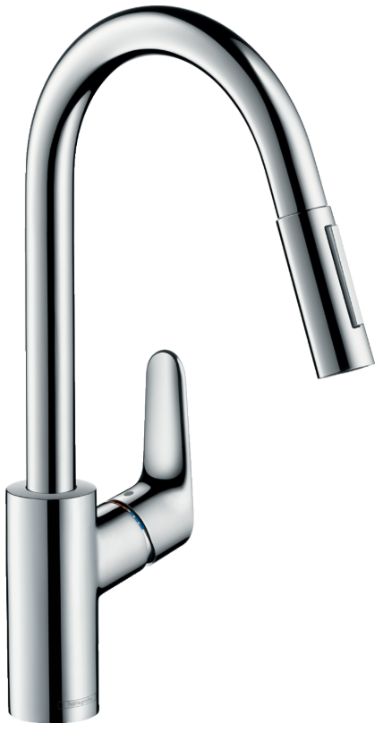 Hansgrohe Focus Kitchen Mixer with Pull-Out Spray