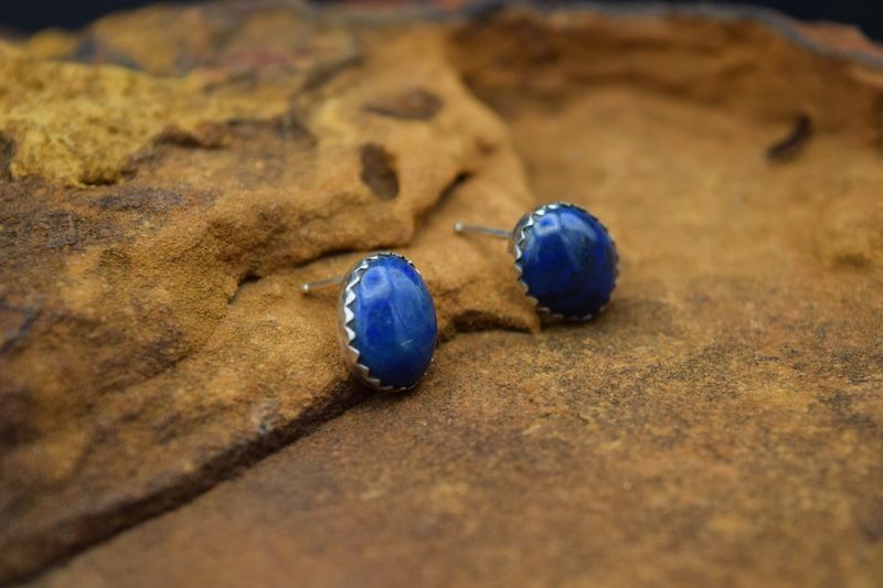 Blue Post Earrings