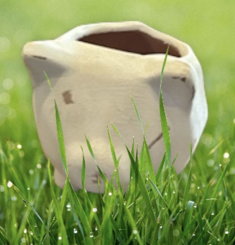 Mini Clay Pig Planter