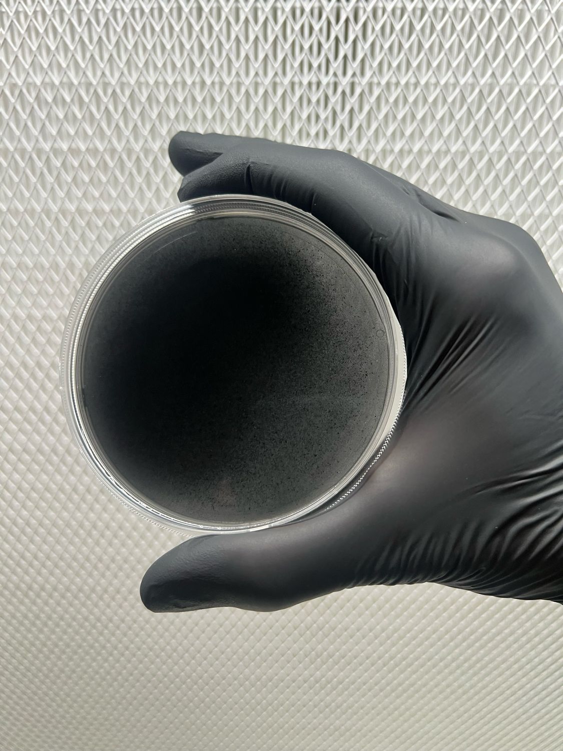 Antibacterial Petri Dish