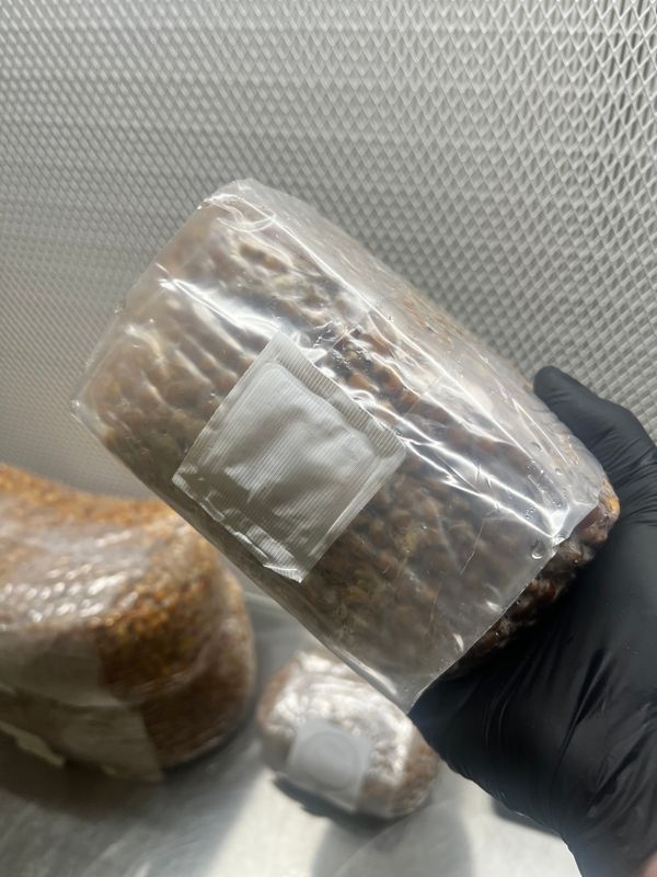 Sterile Grains