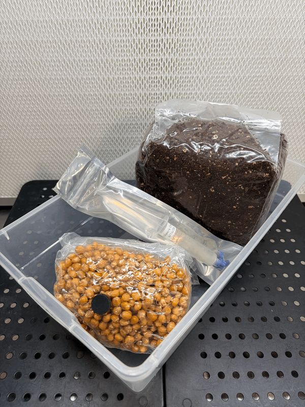 Grow Kits
