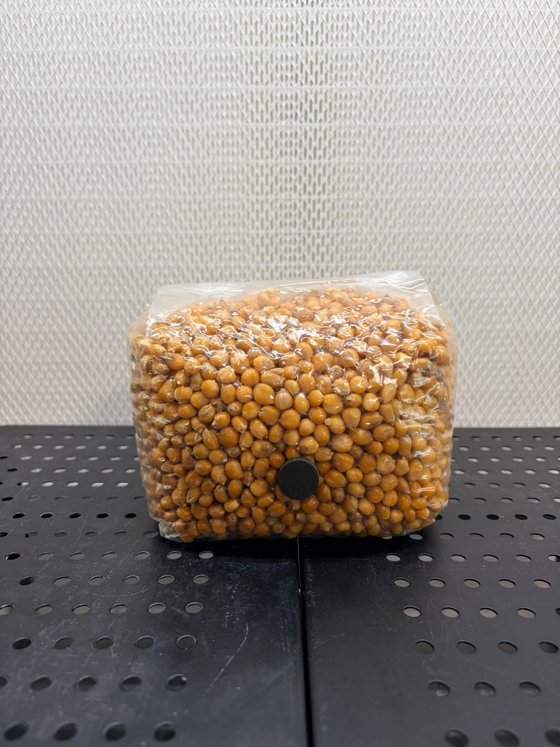 Drippy Corn