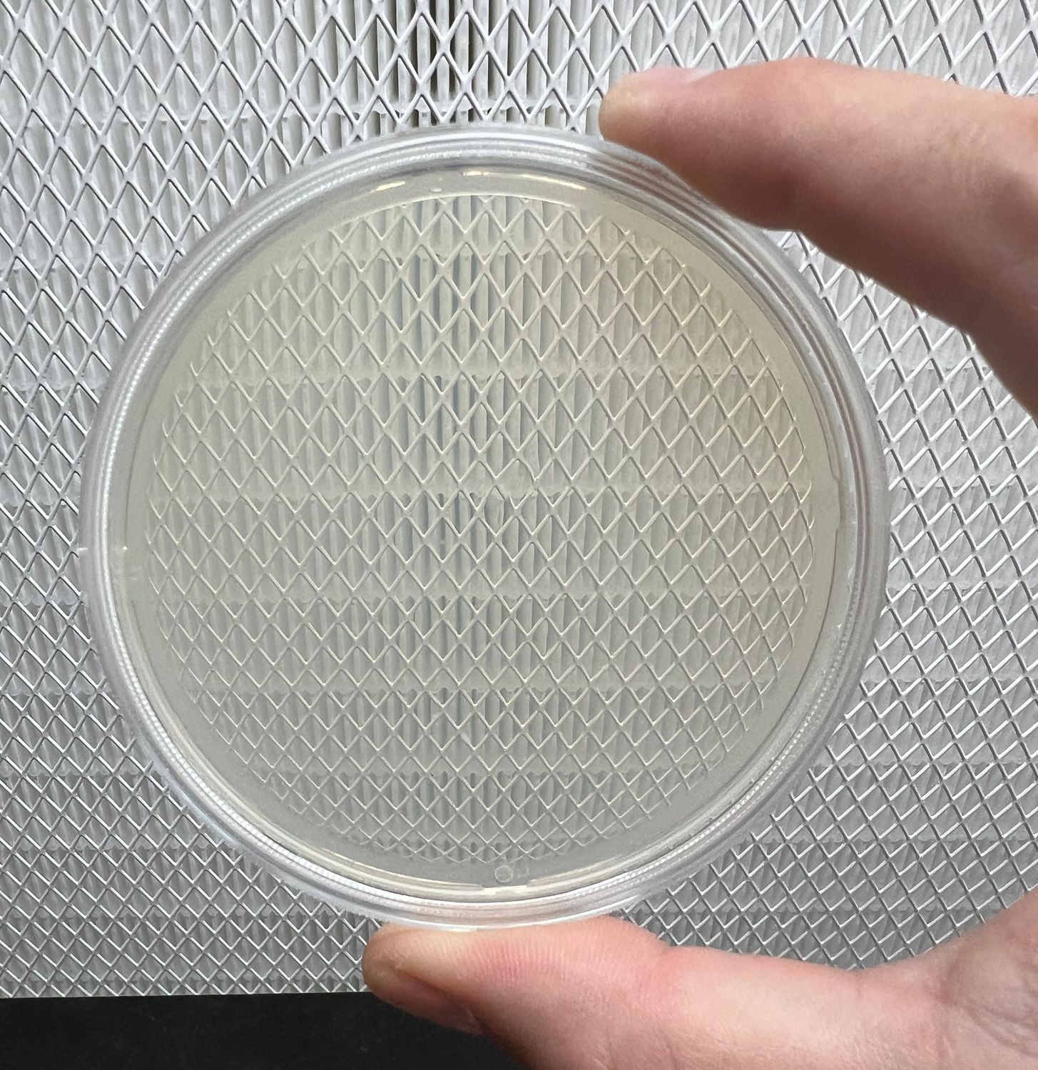 Potato Dextrose Yeast Agar