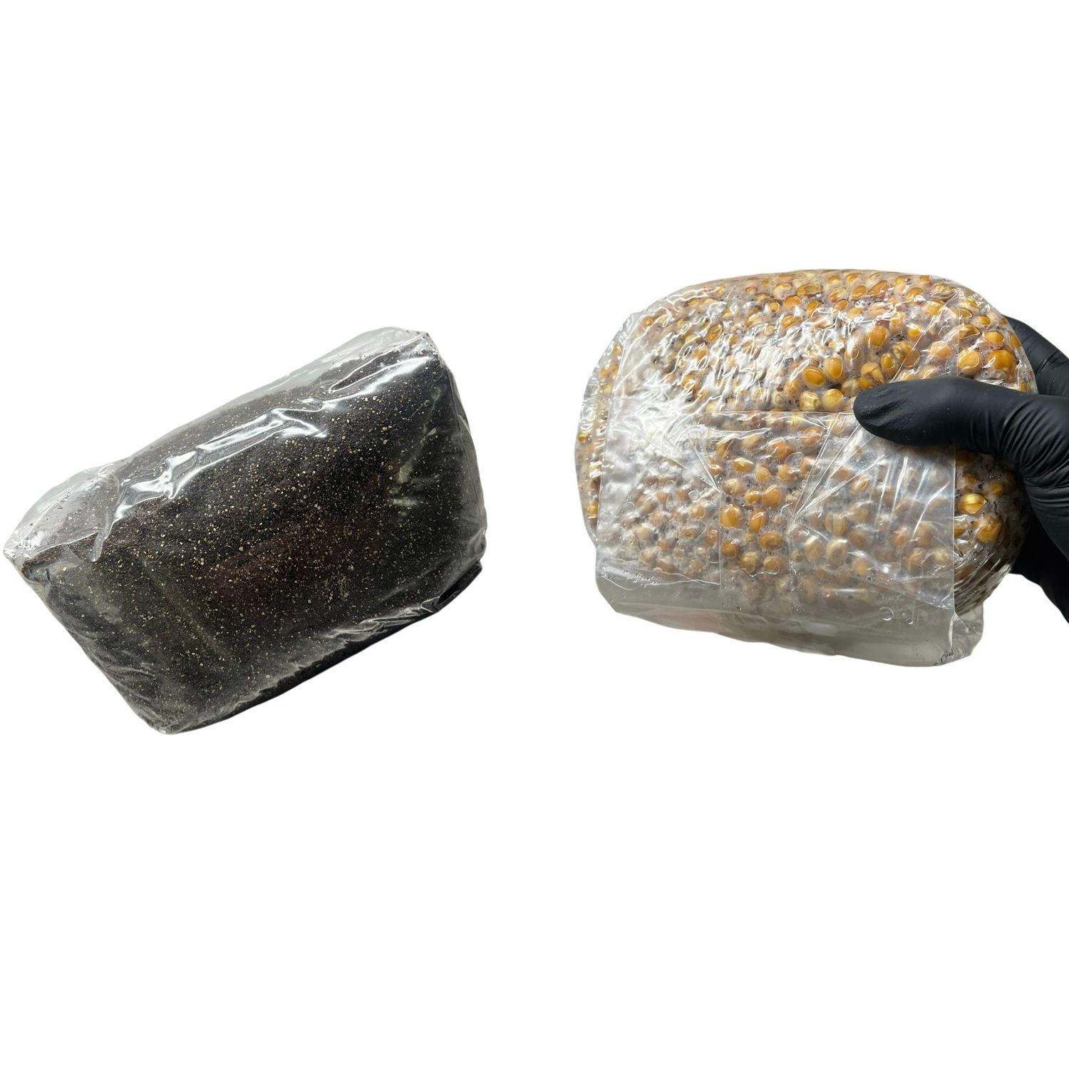 Drippy Coco Mushroom Grow Bundle