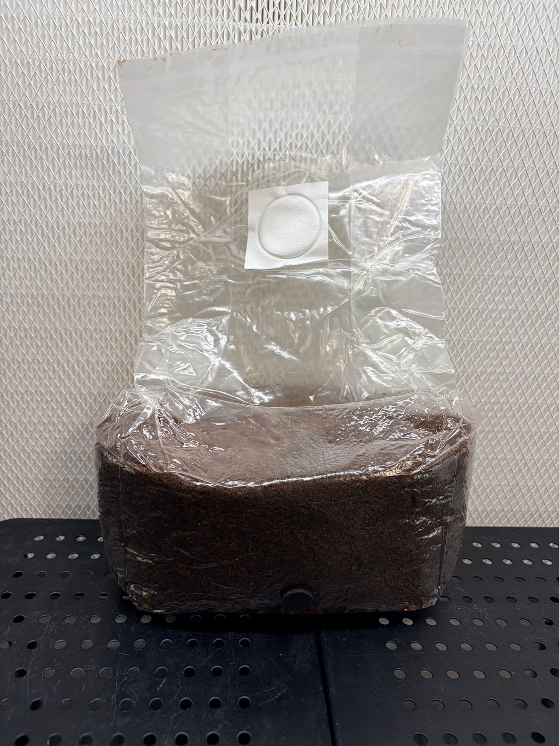 Gourmet Substrate