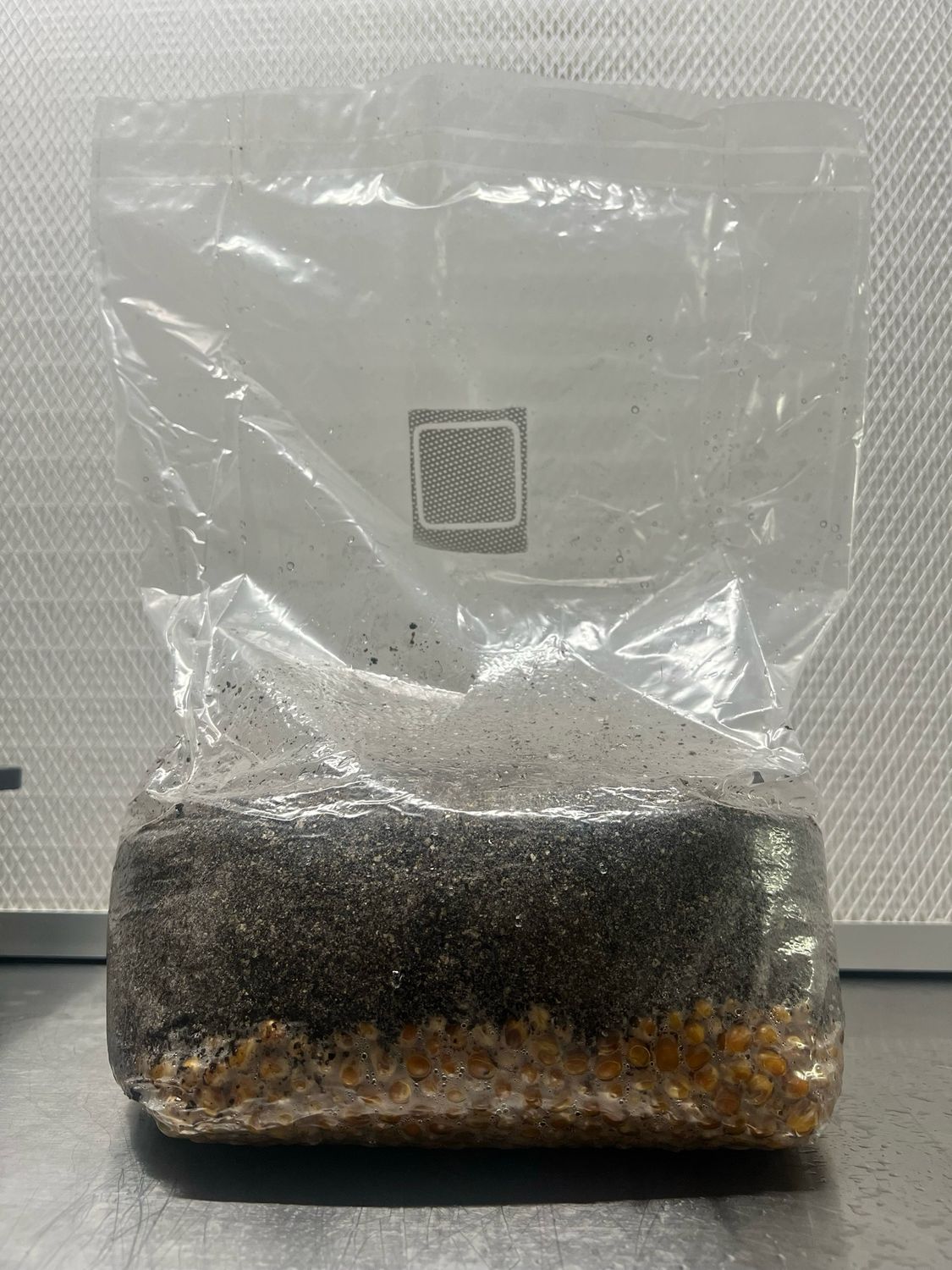 4lb All In One Mushroom Grow Bag | Bag Only
