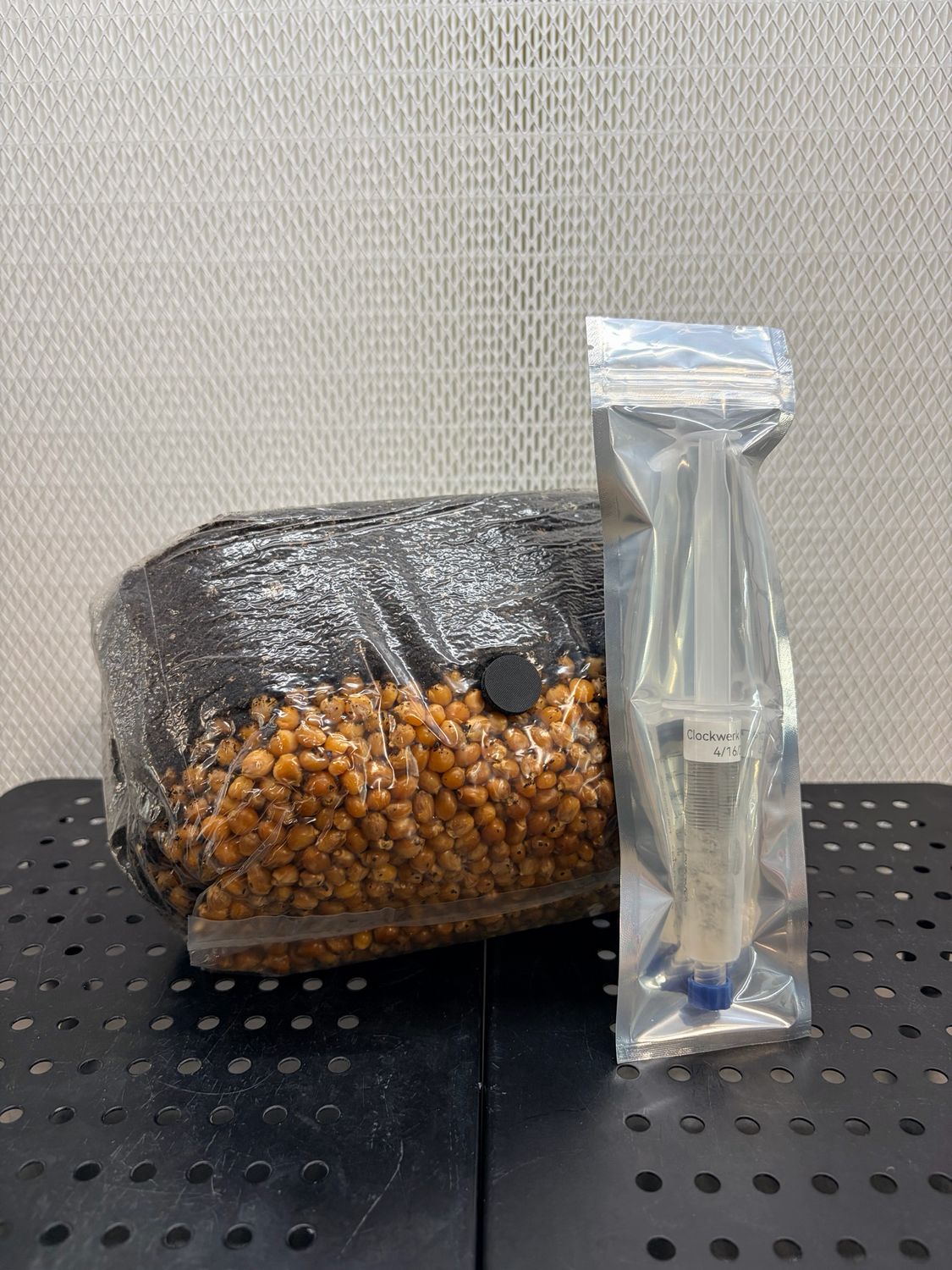 4lb All In One Mushroom Grow Bag Kit
