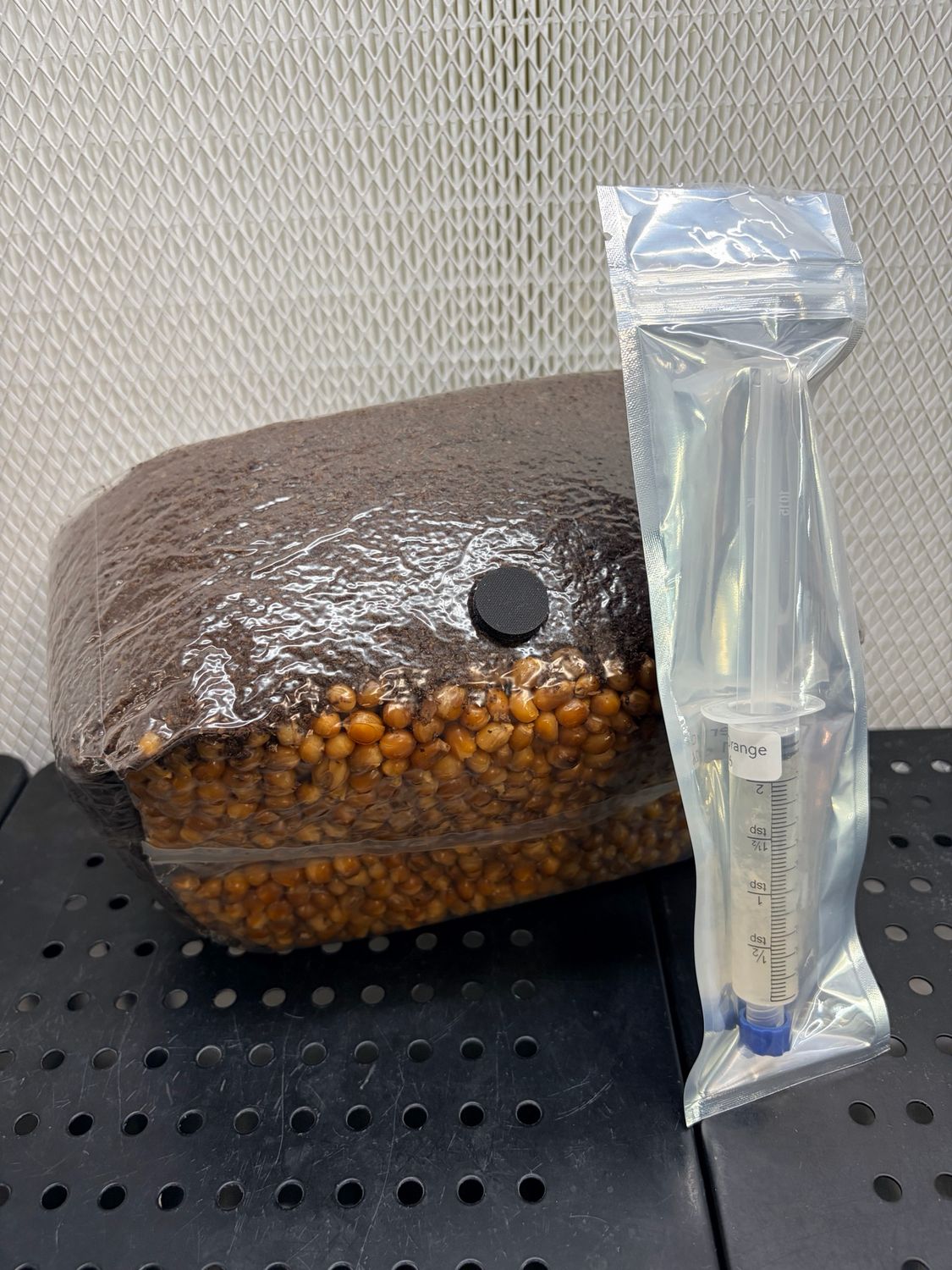 4lb Gourmet Mushroom All In One