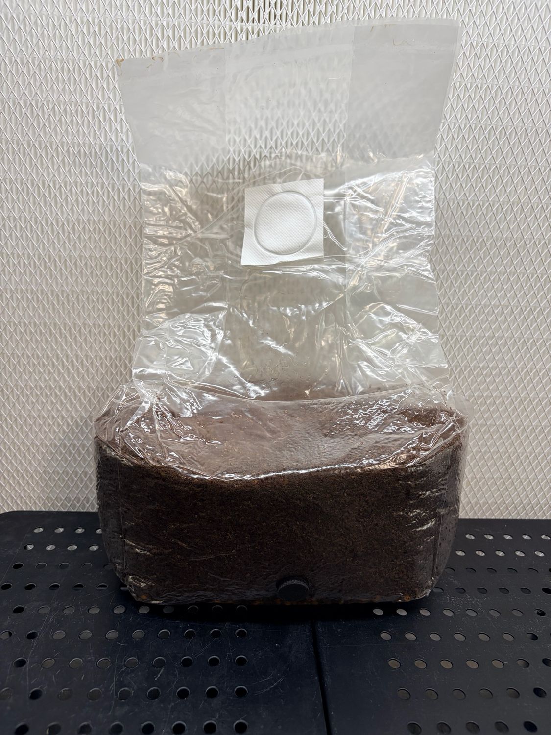 4lb Gourmet Mushroom All In One (Bag only)