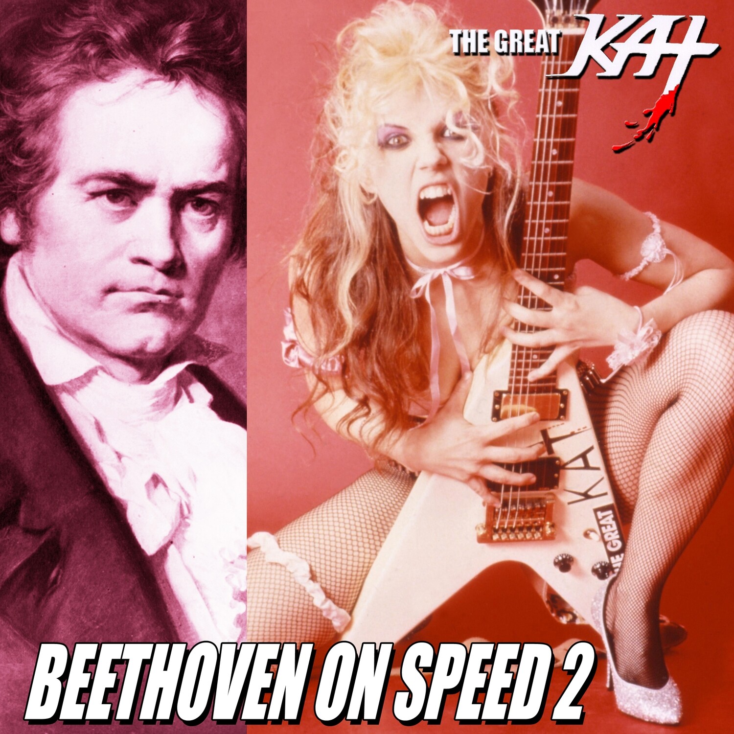 NEW “BEETHOVEN ON SPEED 2” 8-Song CD Album (12 Min) by THE GREAT KAT! PERSONALIZED AUTOGRAPHED by THE GREAT KAT to Customer! With Beethoven On Speed 2, Sex &amp; Violins 2, Bach To The Future 2 &amp; more!