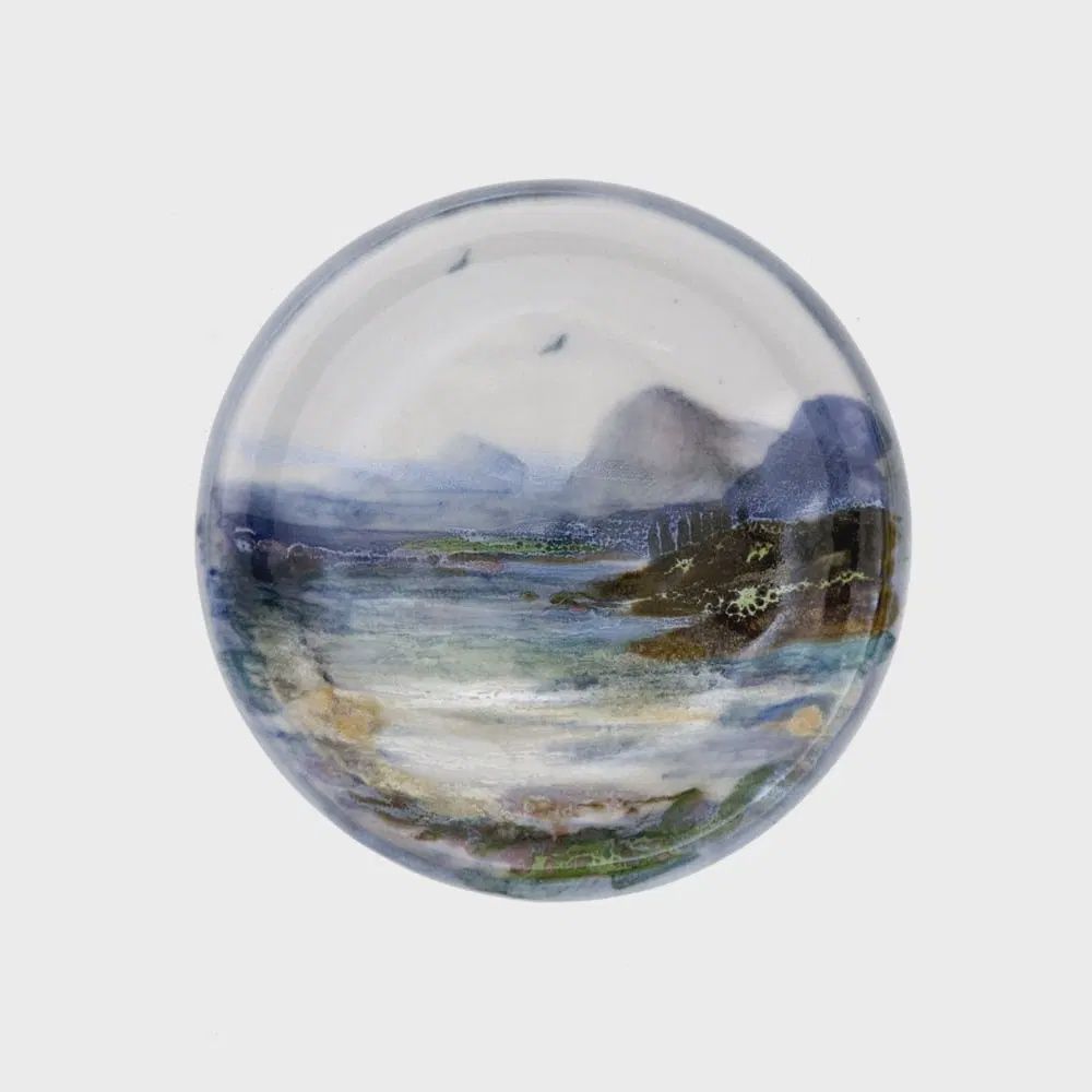 Coaster Landscape