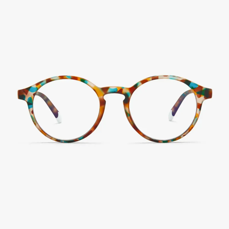 Le Marais Light Tortoise Glasses
