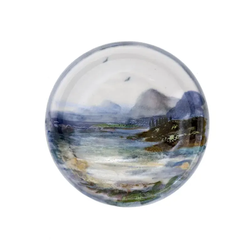 Coaster Landscape