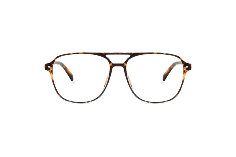 Brad Glossy Tortoise glasses