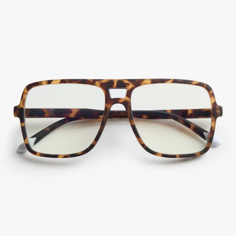 Jake Matte Tortoise