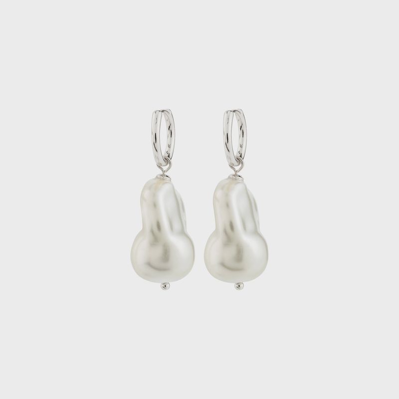 RADLEY earrings silver-plated