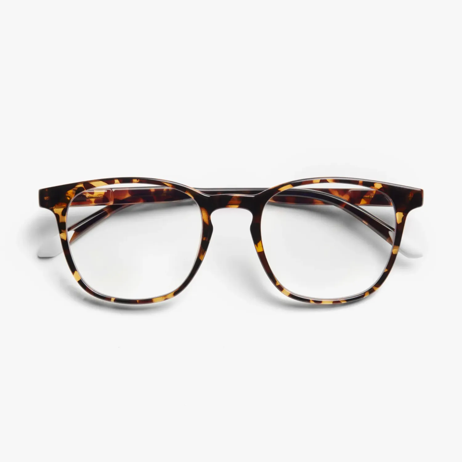 Dalston Tortoise