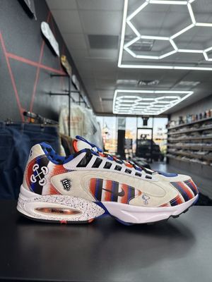 NIKE AIR MAX TRIAX 96 “DOERNBECHER” (SZ 14)  USED/OG ALL