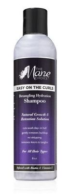 EASY ON THE CURLS DETANGLING HYDRATION SHAMPOO 8OZ