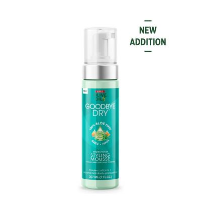 GOODBYE DRY HYDRAFOAM STYLING MOUSSE 7OZ