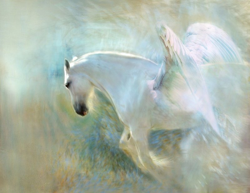 Over the Rainbow Bridge