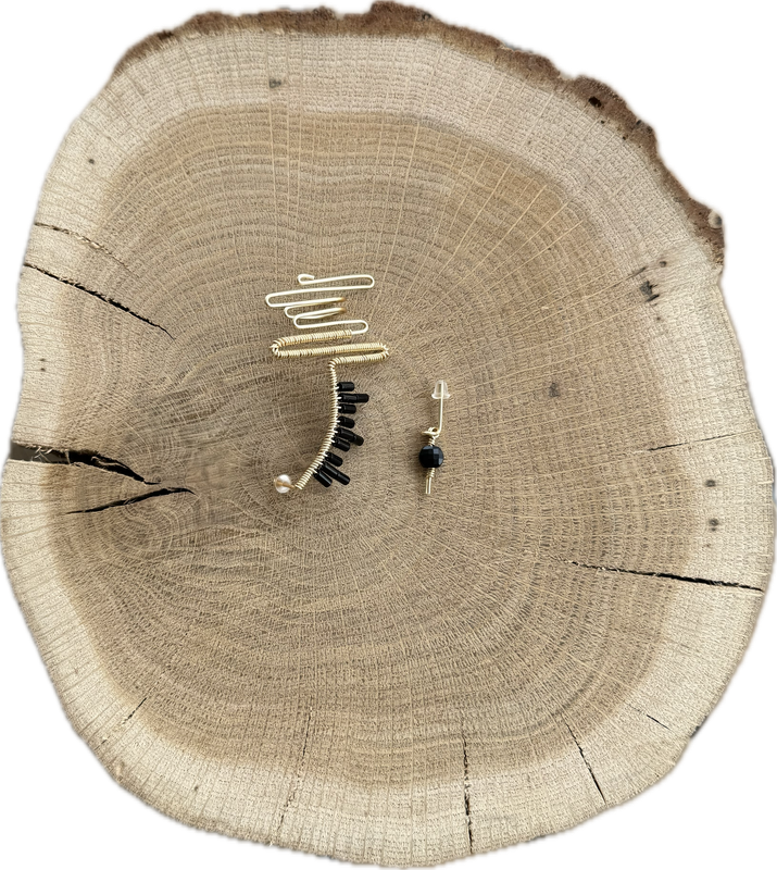 Trepador obsidiana - izquierda