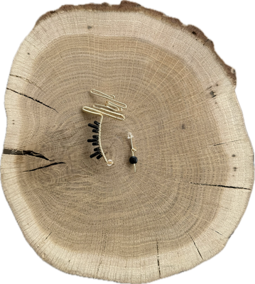 Trepador obsidiana - derecha