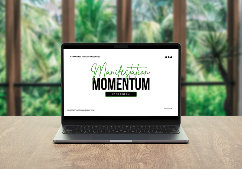 Manifestation Momentum (Lifestyle &amp; Abundance Edition)